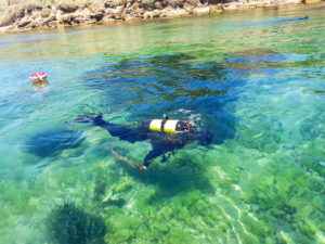 Palombari del Gos (foto Marina militare)