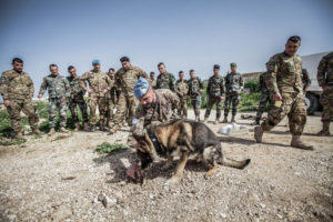 Caschi blu italiani in Libano missione Unifil (foto Stato Maggiore Difesa)