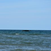 D-Day la spiaggia di Omaha beach