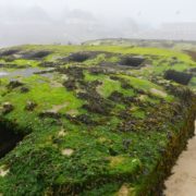 D-day I resti del Mulberry Harbour ad Arromanche