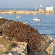 I bunker di Favignana e il bombardamento del 1943