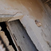 I bunker di Favignana e il bombardamento del 1943