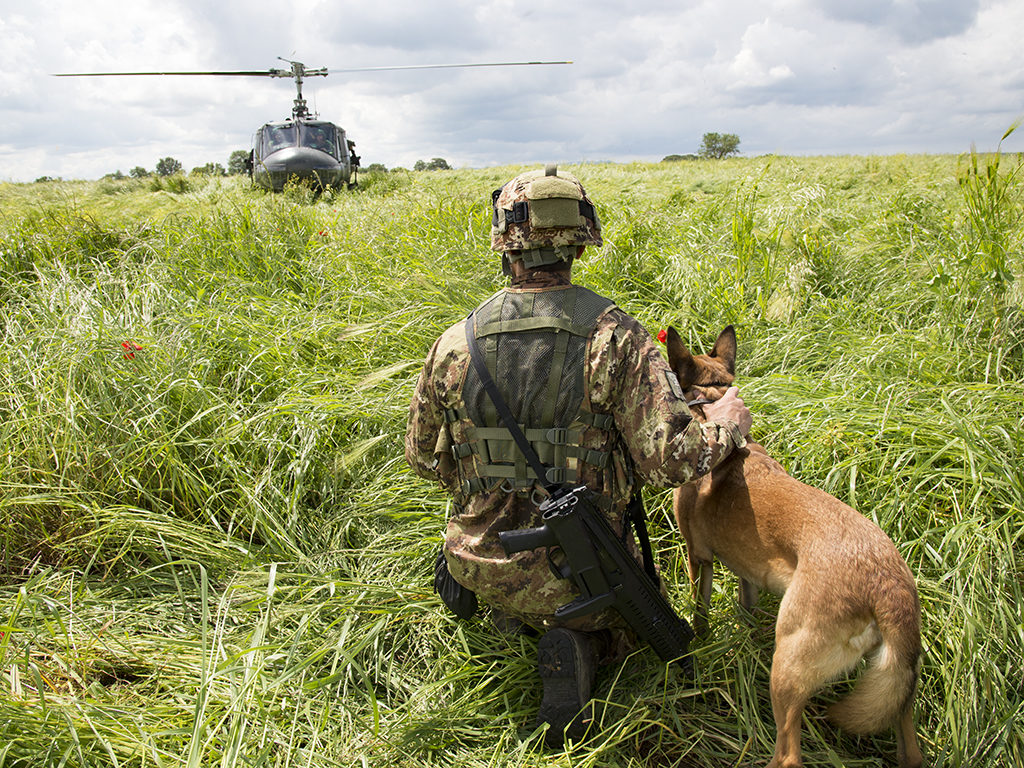 Caex 2018, Aviazione dell'esercito