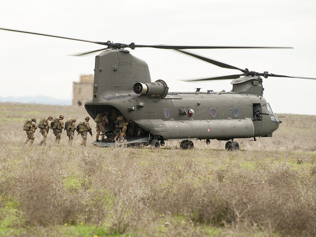 Caex 2018, Aviazione dell'esercito