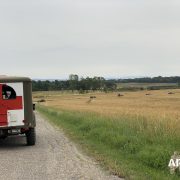 Colonna della libertà 2021 Cortona, Foiano della Chiana