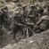 Prima guerra, battaglie dell'Isonzo